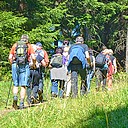 05 Góry Sowie - trekking z Jugowa do Przełęczy Sokolej ze Zwiedzakiem